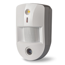 Detector Pircam